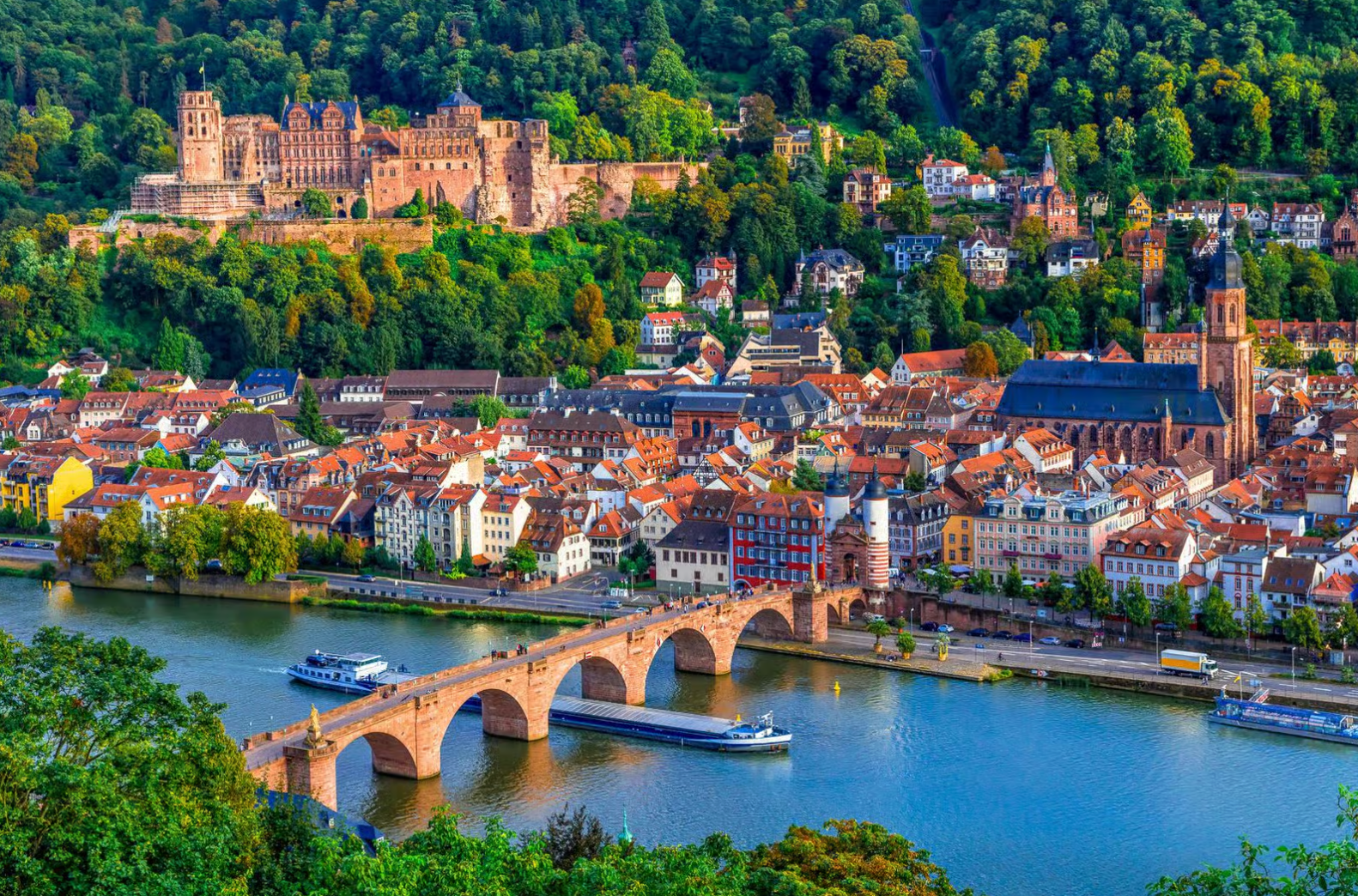 ThinkBIG Travel Turizm