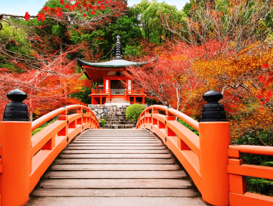 Ekran Resmi 2026-02-16 15.26.30