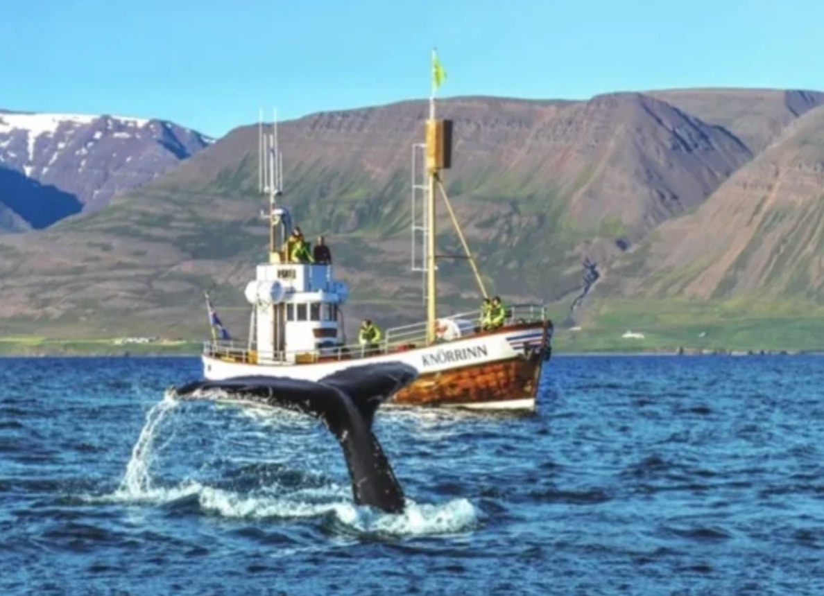 Ekran Resmi 2025-12-14 17.35.11